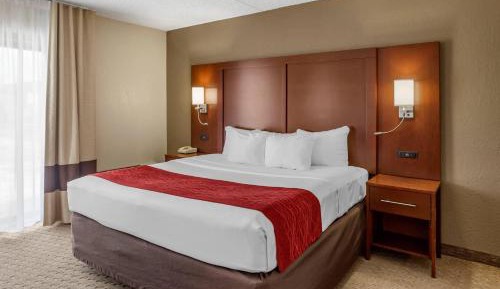 Standard King Room with Roll In Shower - Accessible/Non Smoking