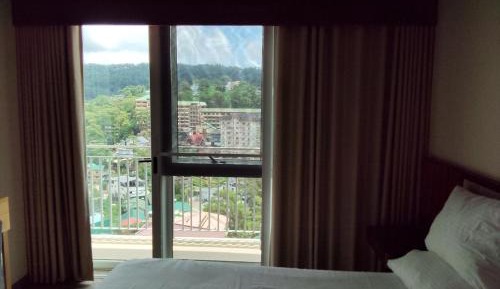 Studio with Garden View