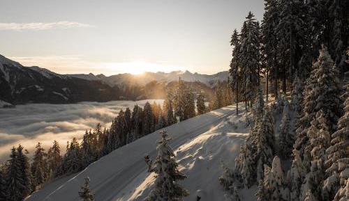 One-Bedroom Superior Apartment