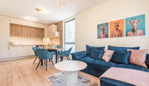 One-Bedroom Apartment with View