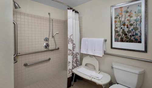 King Studio with Sofa Bed and Roll-in Shower - Mobility and Hearing Accessible