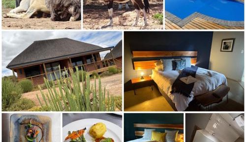 Deluxe Double or Twin Room with Mountain View