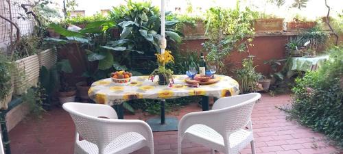 Studio - Split Level