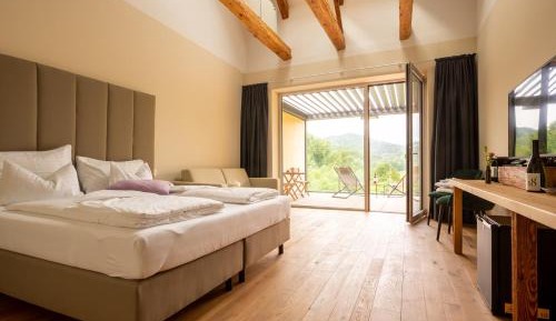 Double Room with Terrace