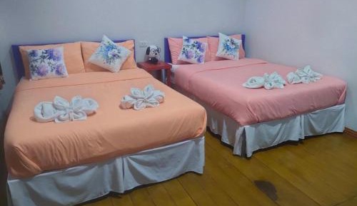 Superior Deluxe Double or Twin Room 