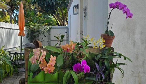 Apartment with Garden View