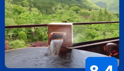 Japanese Style Twin Room with Hot Spring Bath - Non-Smoking - 316