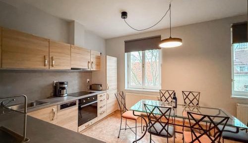 Three-Bedroom Apartment with View