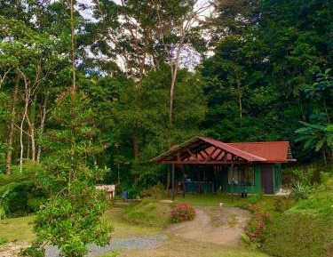 One-Bedroom Chalet