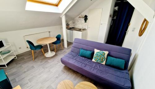 Studio with Sofa Bed