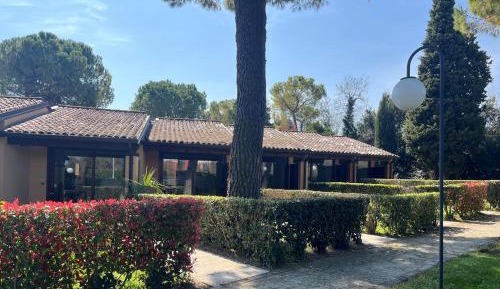 Classic One-Bedroom Apartment 