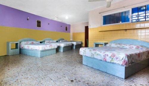 Standard Four Beds