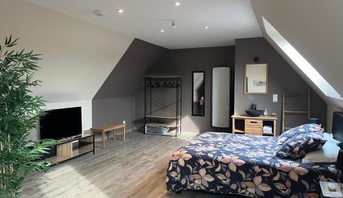 Deluxe Double Room with Shower