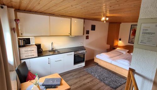 Apartment with Mountain View