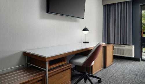 Suite, 1 King, Sofa bed