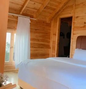 Two-Bedroom Bungalow