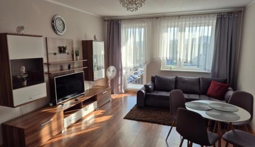 Apartment with City View