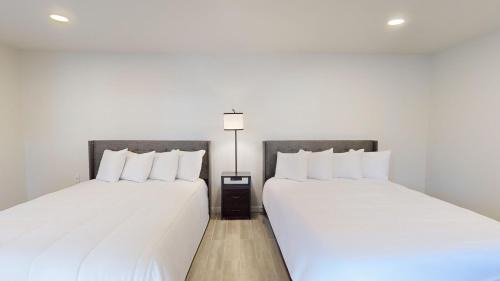 Queen Suite