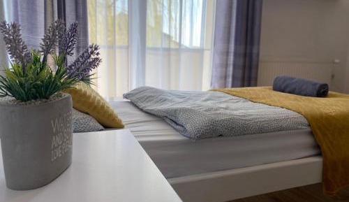 Single Room with Shared Bathroom