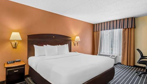 King Room