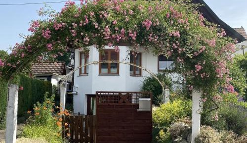 Superior One-Bedroom Apartment