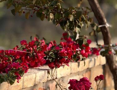 Double Room with Mountain View