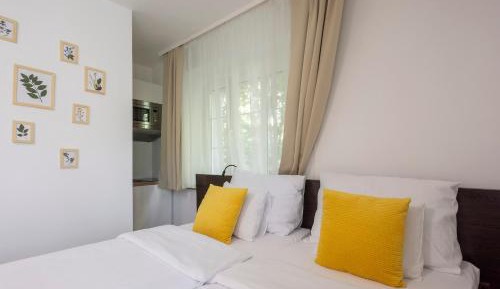 Superior Apartment Double