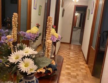 Three-Bedroom Superior Apartment