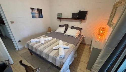 One-Bedroom Villa