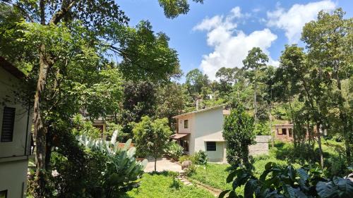 Junior Suite with Private Pool