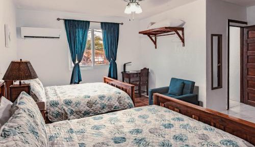 Superior Double or Twin Room