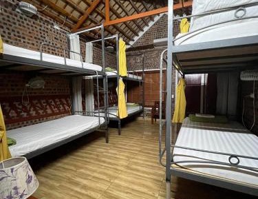 Bed in 8-Bed Mixed Dormitory Room