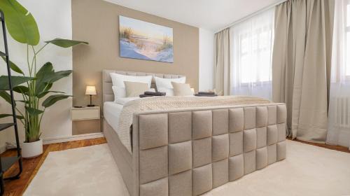 King Studio with Sofa Bed