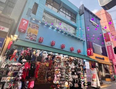 Bunk Bed in Mixed Dormitory Room