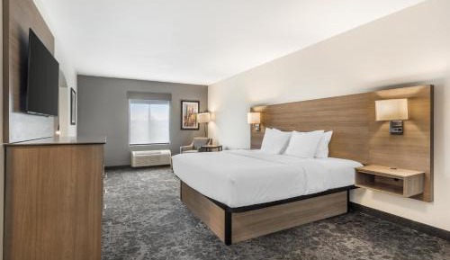 King Suite with Sofa Bed - Non-Smoking