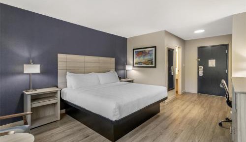 King Room - Pet-Friendly/Non-Smoking