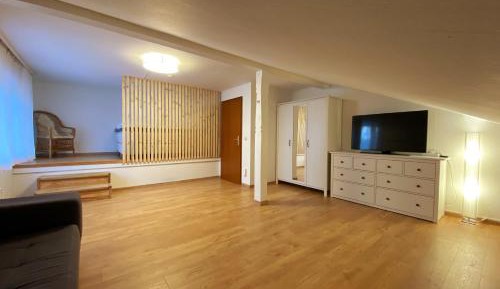 Superior One-Bedroom Apartment