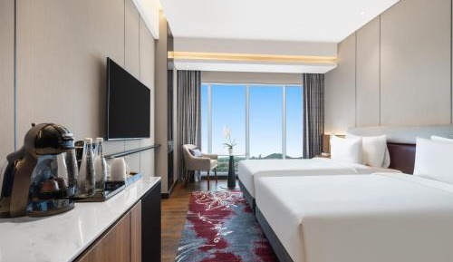 Deluxe Twin Room with City View
