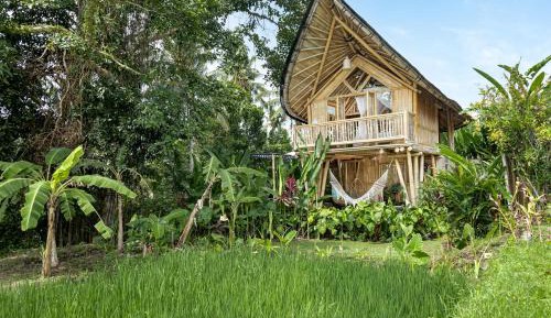 Bamboo Lodge Non-Pool Access