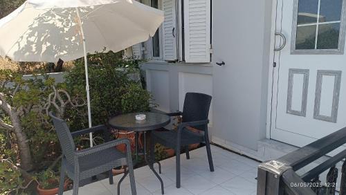 Studio with Garden View