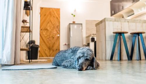 One-Bedroom Apartment with Balcony and Mountain View  