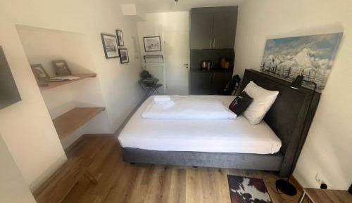 One-Bedroom Apartment with Shower