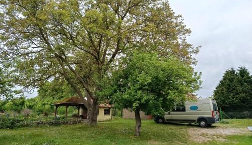 Standard Double Room with Shared Bathroom