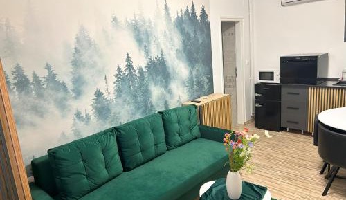 One-Bedroom Premium Apartment