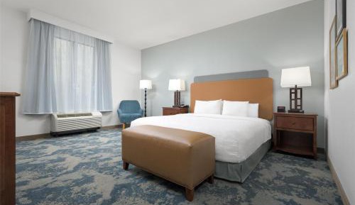 King Room with King Bed - Non-Smoking