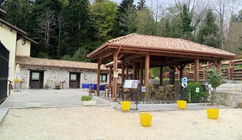 Standard Single Room with Mountain View