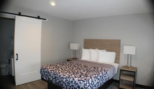 Standard Queen Room
