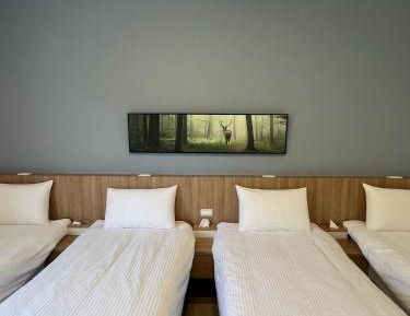Quadruple Room with Mountain View