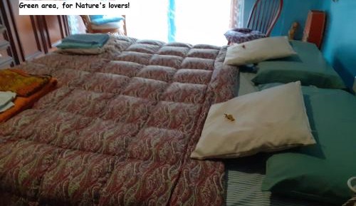 Double Room with Balcony