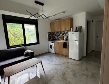 Deluxe One-Bedroom Apartment